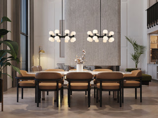 Z-LITE 16-Light Chandelier, Matte Black