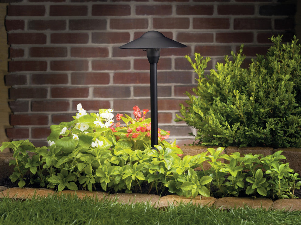 Textured Black Path and Spread 1-Light 12V