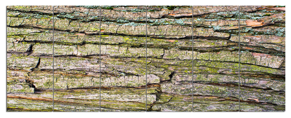 Thick Tree Skin Close Up, Floral Canvas Art Print, 70"x28", 6 Panels