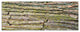 Thick Tree Skin Close Up, Floral Canvas Art Print, 70"x28", 6 Panels