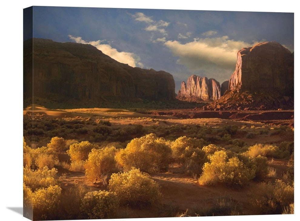 "Camel Butte Rising Out Of Desert, Monument Valley, Arizona" Artwork, 24" x 20"