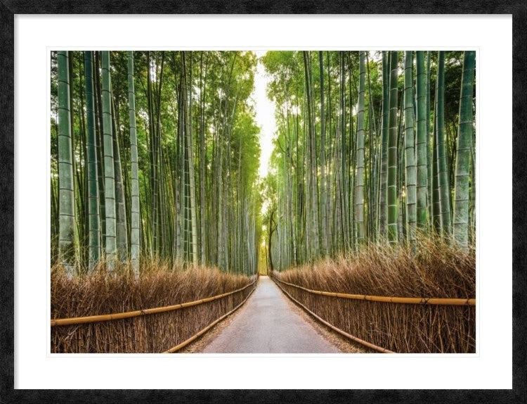 "Bamboo Forest, Kyoto, Japan" Framed Digital Print by Pangea Images, 44x34"