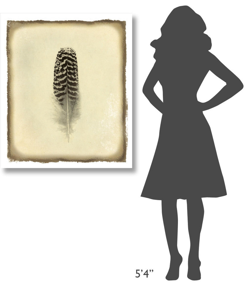 "Feather I Vintage" Digital Paper Print by Debra Van Swearingen, 32"x38"
