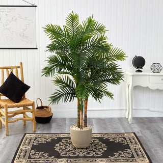 Lifestyle image showing the Areca Palm in a room setting.