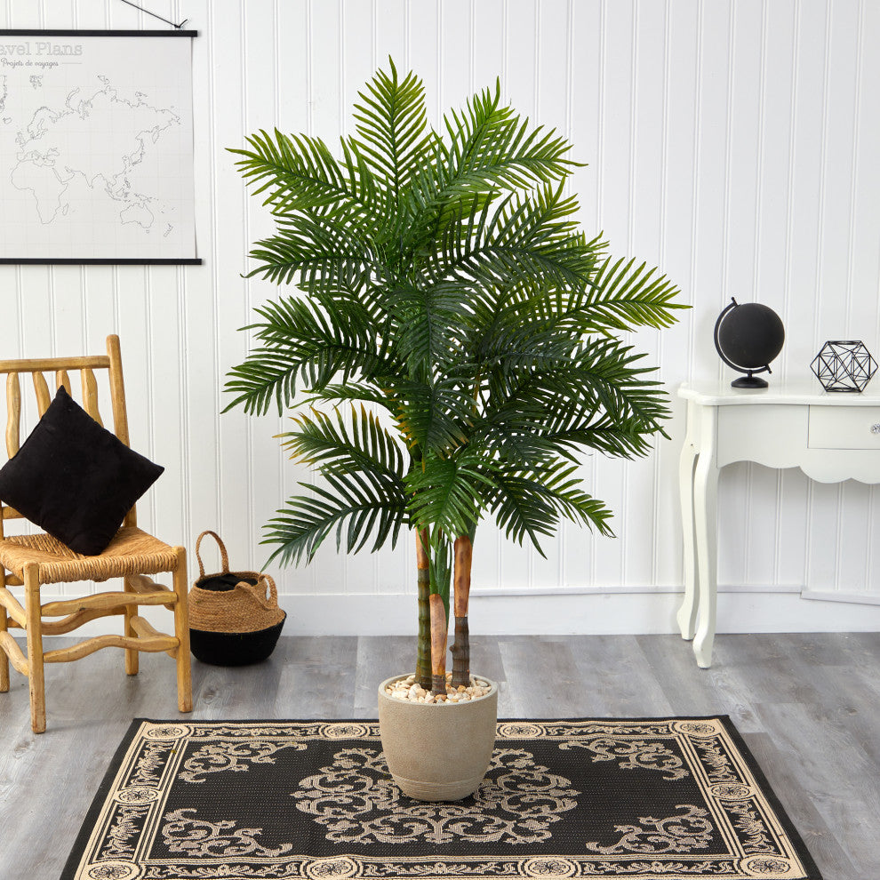 Lifestyle image showing the Areca Palm in a room setting.
