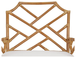 Kara Rattan Accent Arm Chair, Canary Brown
