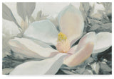 Julia Purinton 'Majestic Magnolia Green Gray Crop' Canvas Art