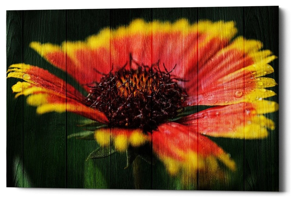 Epic Graffiti "Wood Series: Sunburst" Giclee Canvas Wall Art, 18"x26"