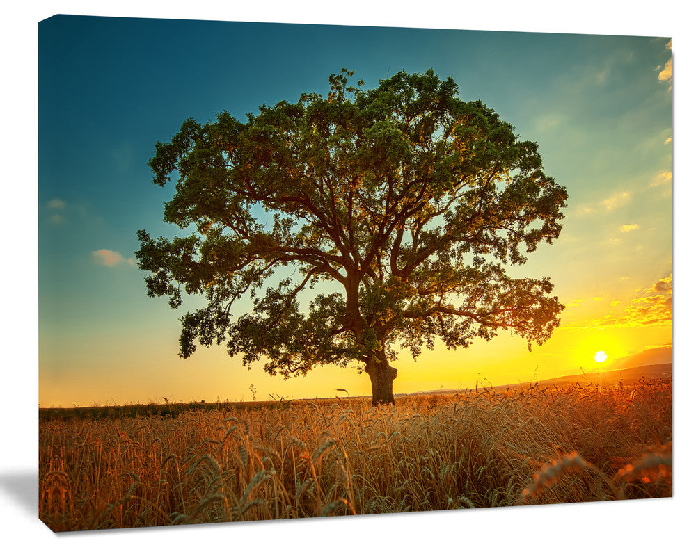 Big Green Tree in Summer Field, Trees Canvas Art Print, 20"x12"