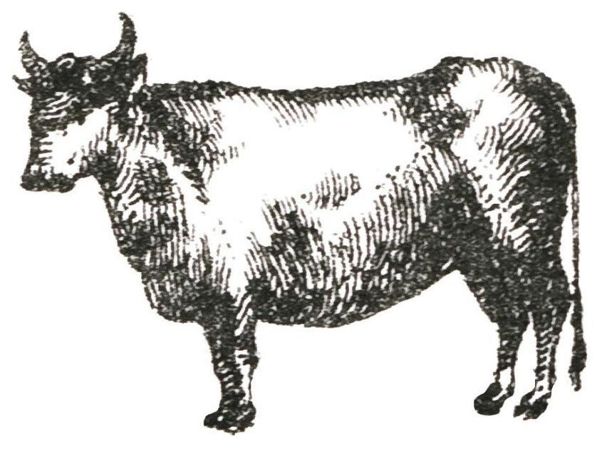 "Farm Animal Icons IV" Digital Paper Print by Sue Schlabach, 26"x26"