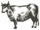 "Farm Animal Icons IV" Digital Paper Print by Sue Schlabach, 26"x26"