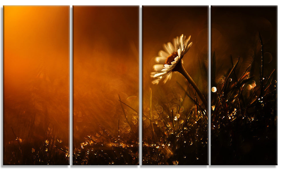 White Wild Flower at Sunset After Rain, Floral Canvas Print, 48"x28", 4 Panels