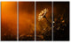 White Wild Flower at Sunset After Rain, Floral Canvas Print, 48"x28", 4 Panels