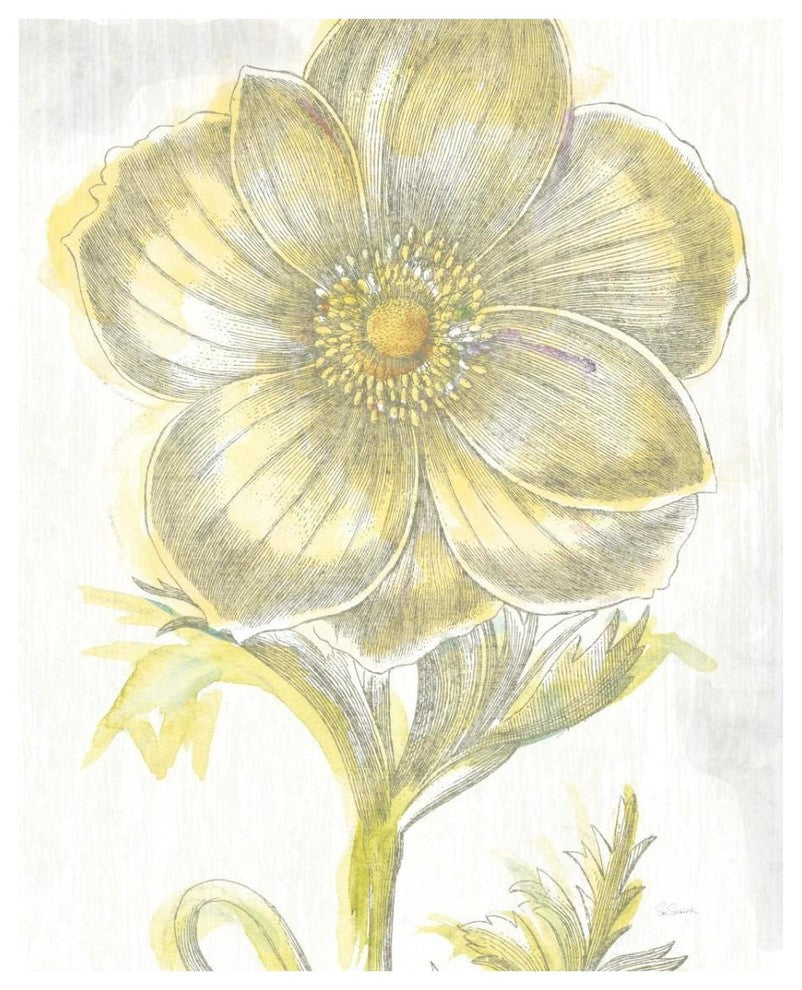 "Belle Fleur Yellow II" Digital Paper Print by Sue Schlabach, 24"x30"