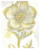 "Belle Fleur Yellow II" Digital Paper Print by Sue Schlabach, 24"x30"