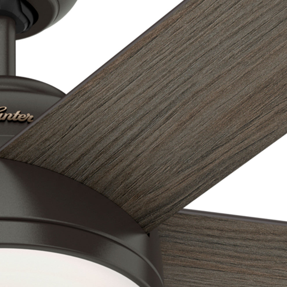 Hunter Wifi 60" Romulus Noble Bronze Ceiling Fan, LED Light and Remote Control