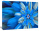 Exotic Dance of Blue Flower Petals, Large Floral Canvas Art Print, 60x40