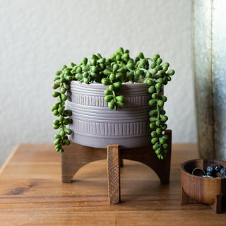 5"  Pueblo Pot W Wood Stand,Matt Grey