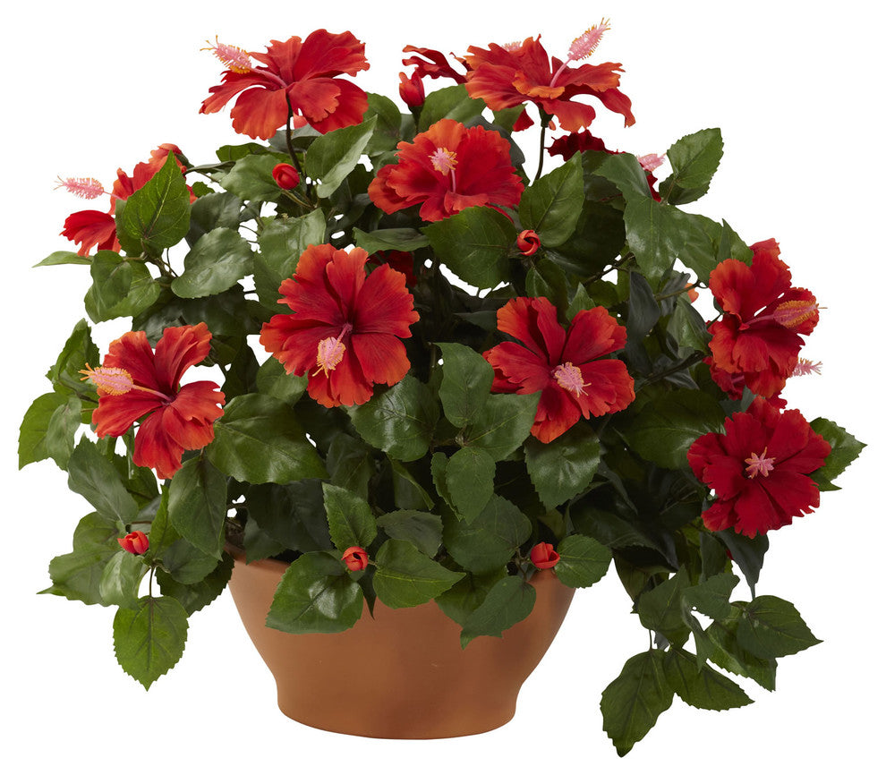 Hibiscus With Clay Planter