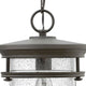 Hinkley Hadley Medium Hanging Lantern, Buckeye Bronze