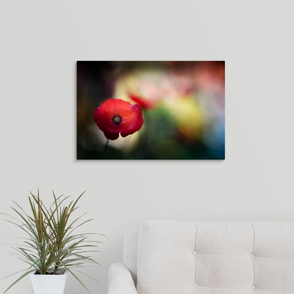"Poppy" Wrapped Canvas Art Print, 24"x16"x1.5"