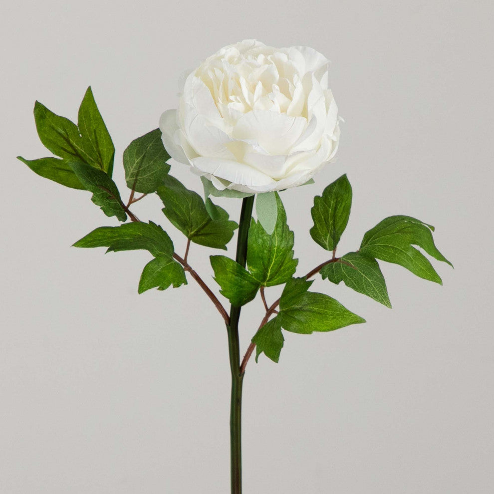 20in. Artificial Peony Flower Stems, Set of 3, White