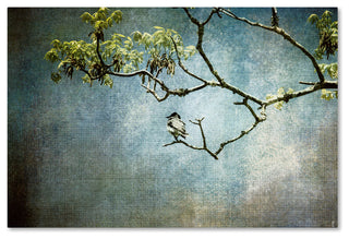 Jai Johnson 'Lucky Bird' Canvas Art, 32 x 22