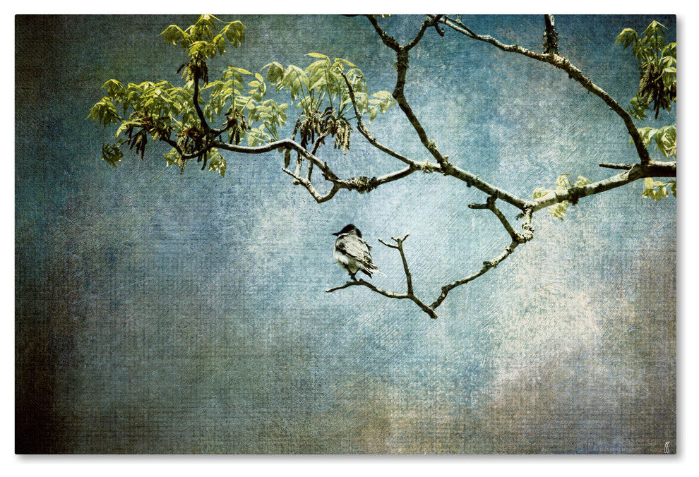 Jai Johnson 'Lucky Bird' Canvas Art, 32 x 22