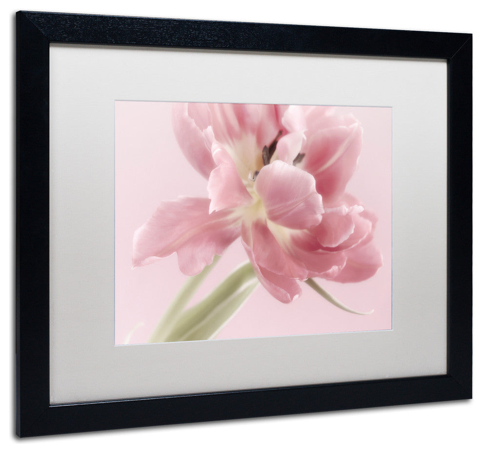Cora Niele ''Soft Pink Tulip'' Matted Framed Art