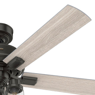 Hunter 52" Hartland Noble Bronze Ceiling Fan With LED Light Kit and Pull Chain