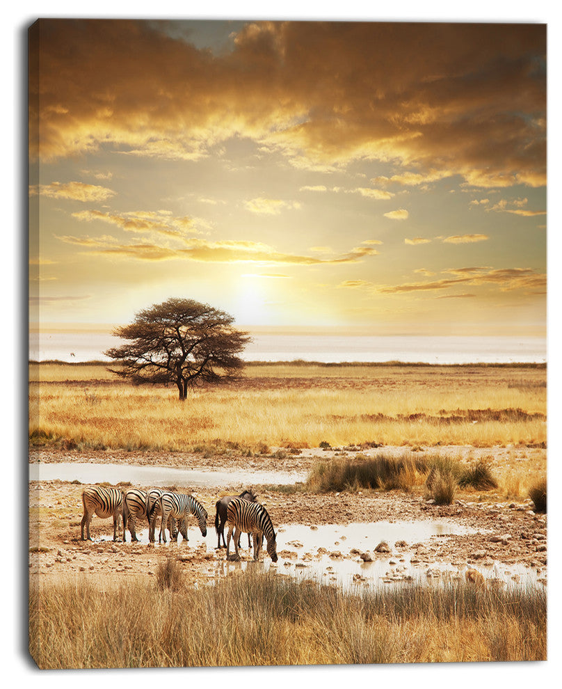 Herd of Zebras Drinking Water, Oversized African Landscape Canvas Art, 12"x20"