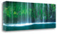 "Hidden Paradise" By Natalie Mikaels, Giclee Print on Gallery Wrap Canvas