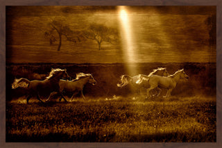 "Horses at Sunrise 2" Framed Painting Print, 30x20