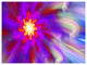 Beautiful Purple Flower Petals, Floral Canvas Art Print, 40"x30"
