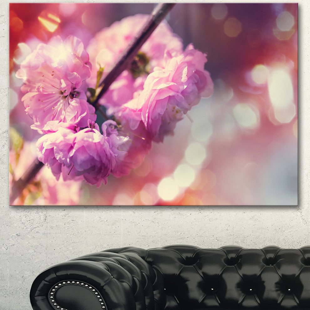 Beautiful Almond Tree Flowers, Floral Canvas Art Print, 40"x30"