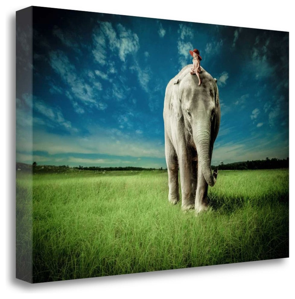 "Elephant Carry Me" By Jeff Madison, Giclee Print on Gallery Wrap Canvas