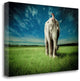 "Elephant Carry Me" By Jeff Madison, Giclee Print on Gallery Wrap Canvas