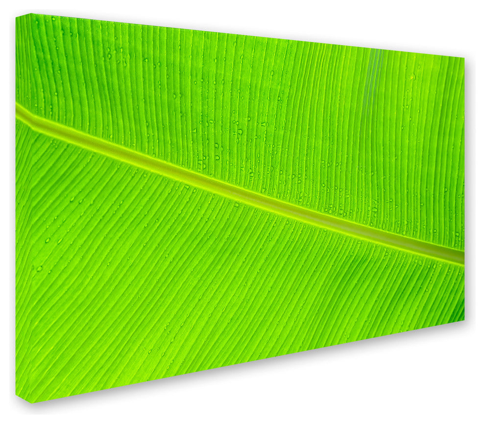 Cora Niele ''Leaf Texture II'' Canvas Art
