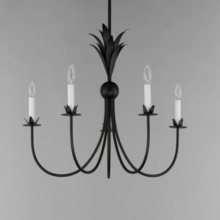 Maxim 2885 Paloma 5 Light 26"W Taper Candle Style Chandelier - Anthracite