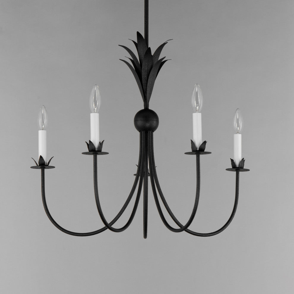 Maxim 2885 Paloma 5 Light 26"W Taper Candle Style Chandelier - Anthracite