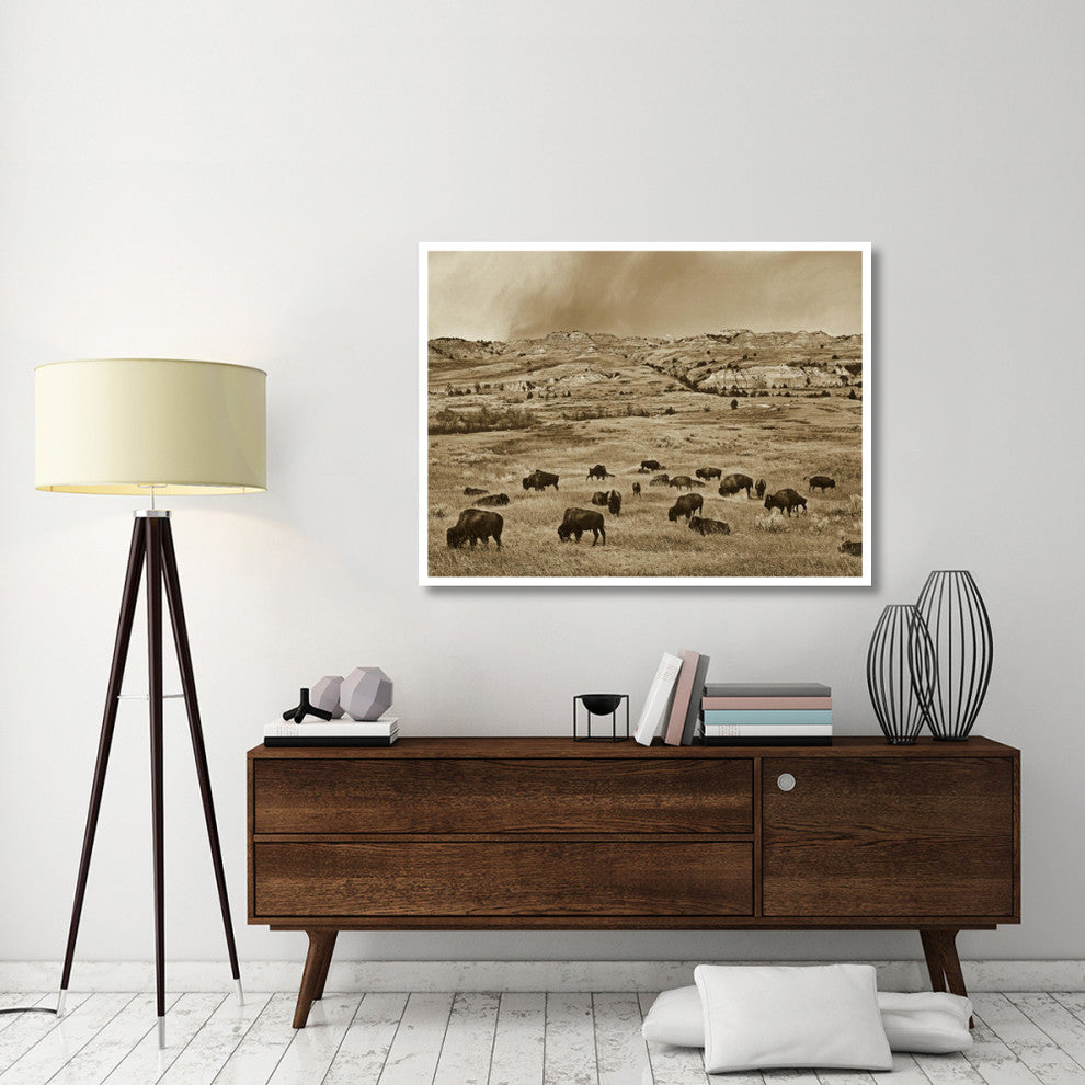 "American Bison herd grazing, Theodore Roosevelt NP" Paper Art, 50"x38"