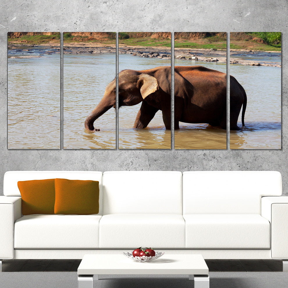Elephant in Water in Sri Lanka, African Canvas Print, 60"x28", 5 Panels