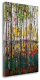"Voile De Montogne" By Graham Forsythe, Giclee Print on Gallery Wrap Canvas