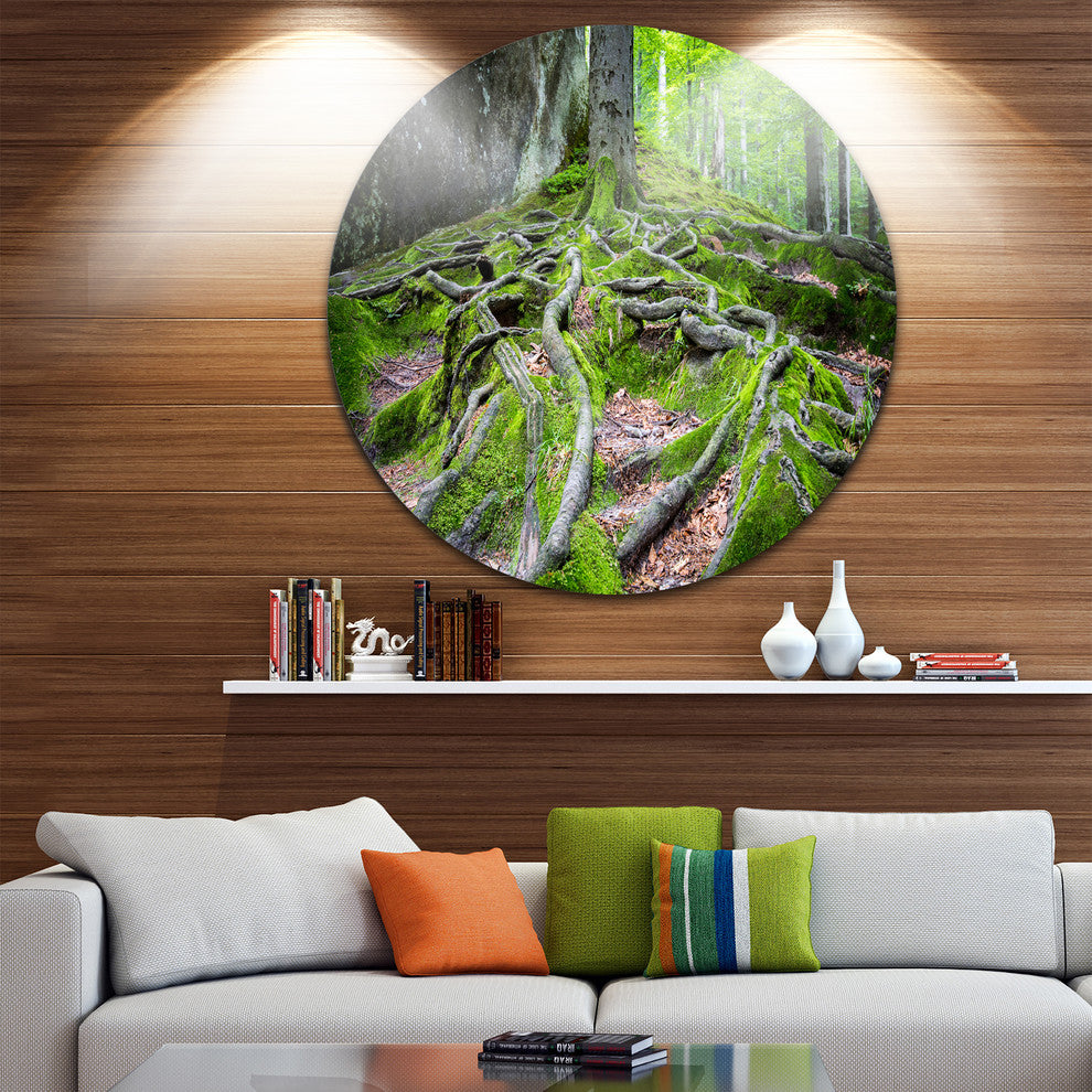 Deep Moss Forest In Ukraine, Landscape Round Wall Art, 23"
