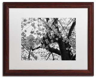CATeyes 'Blossoms BW' Matted Framed Art, Wood Frame, White Mat, 20x16