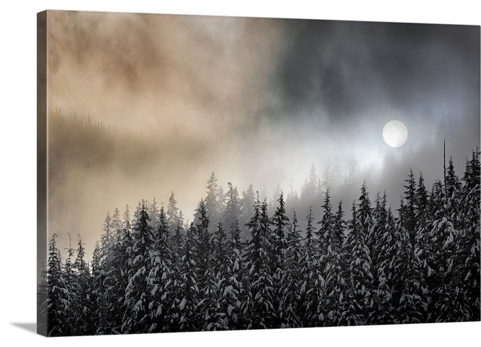 "Winter Sun" Wrapped Canvas Art Print, 24"x16"x1.5"