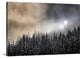 "Winter Sun" Wrapped Canvas Art Print, 24"x16"x1.5"