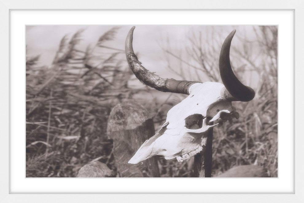 Marmont Hill, "Deserted Skull" Framed Painting Print, 45x30