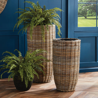Lucas Planter, Small