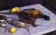 Gustave Caillebotte Pheasants and Woodcocks on a Marble Table Wall Decal